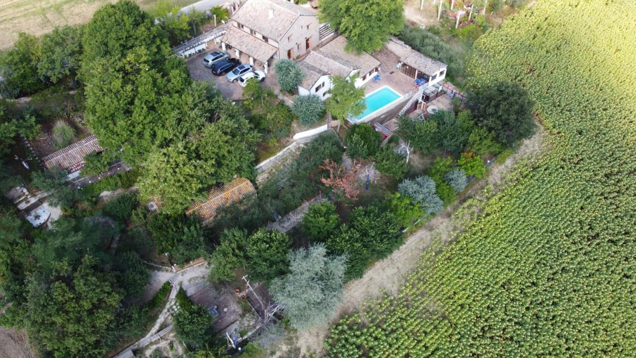 Barbagianni Villa Senigallia Exterior photo