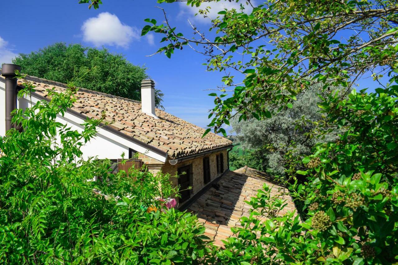 Barbagianni Villa Senigallia Exterior photo