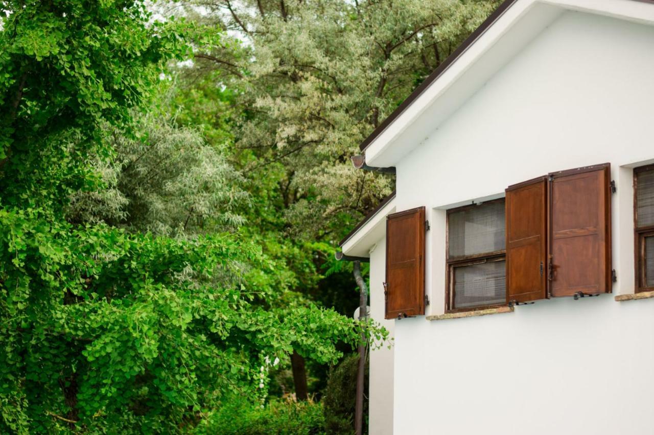 Barbagianni Villa Senigallia Exterior photo